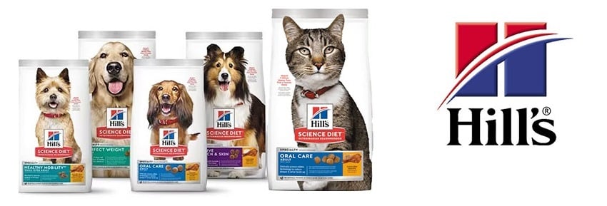 kedi ve köpeklerde diş fırçalama ve ağız bakımı